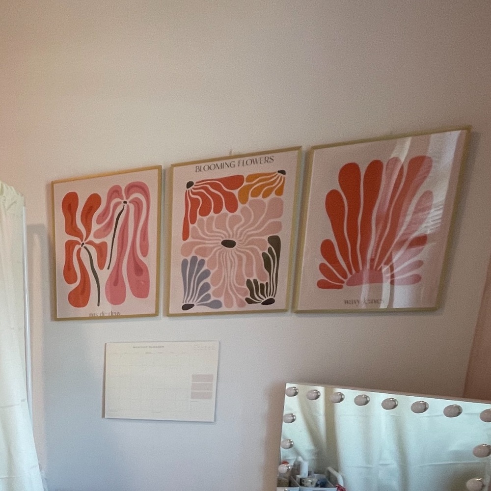 Aesthetic Matisse Wall prints